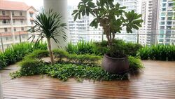 Skypark @ Somerset (D9), Apartment #357207681